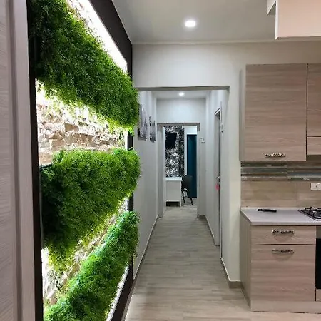 Alojamento de Acomodação e Pequeno-almoço Storico17