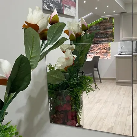 Storico17 Alojamento de Acomodação e Pequeno-almoço